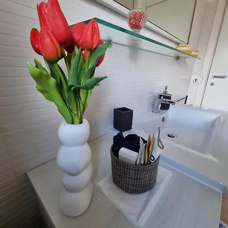 Ai Tulipani Da Maila *